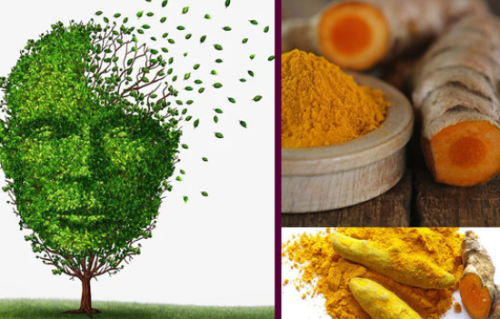 Turmeric in the Scientific Spotlight again 