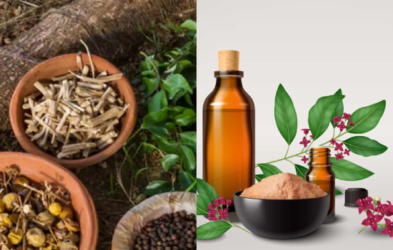 What is common to and differences between Ayurveda and Unani Medicine
