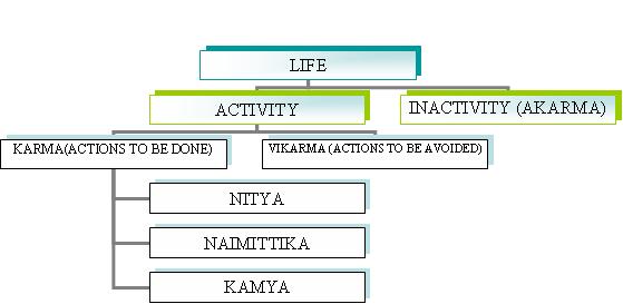 Organization Chart