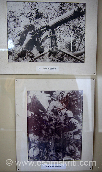 Preview Image 1