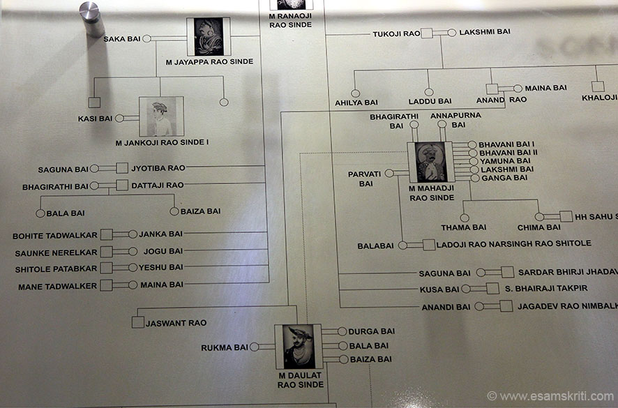 Preview Image 1