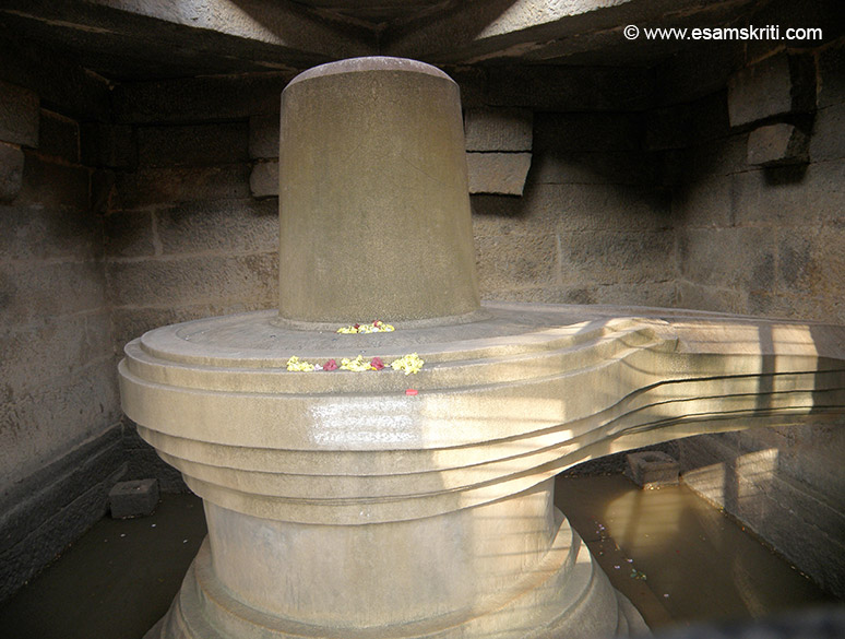 Preview Image 1