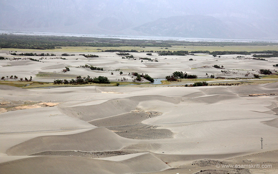 Sand Dunes Nubra Valley