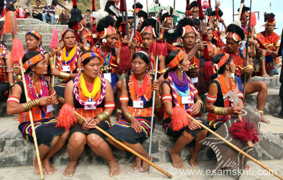 Observations during visit to Nagaland and Implications