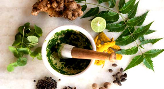 Depleting medicinal plant resources A threat for survival of Ayurveda