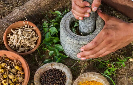 Ayurveda in ANCIENT INDIA 