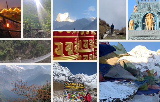 Trekking Tales from Annapurna Base Camp