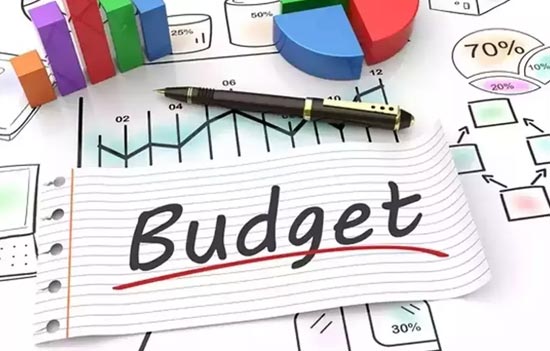 Decoding Delhi`s Budget-Why its freebie model cannot be replicated