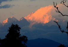 West Bengal