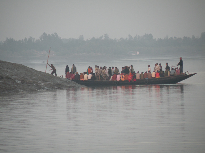 Sunderbans Reverie