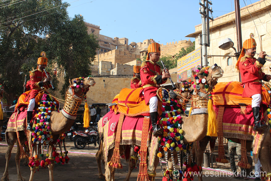 Nagaur Cattle Fair