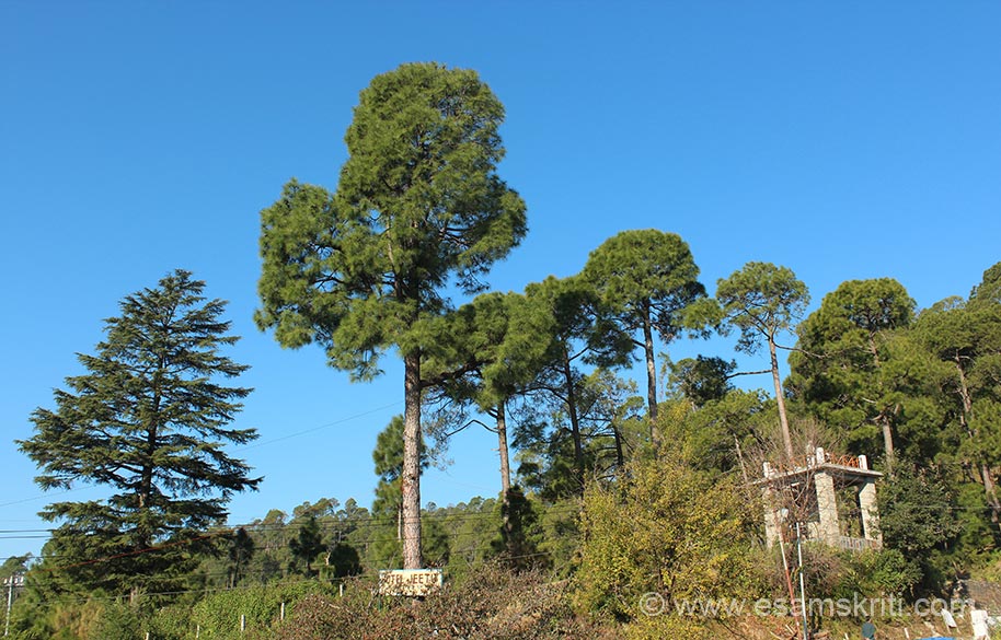 Kausani