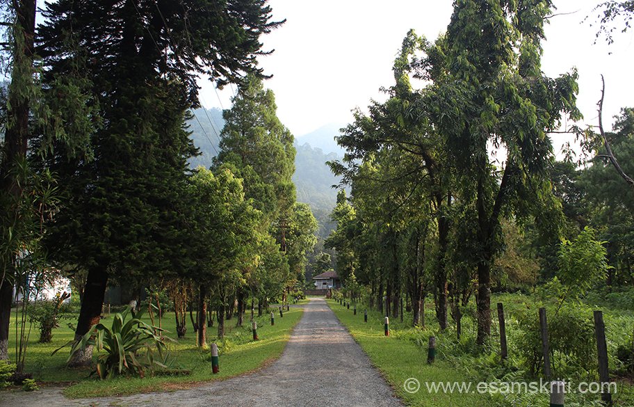 Drive to Tawang