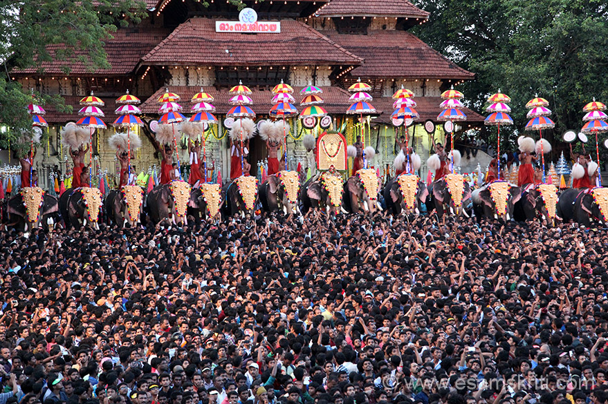 Thrissur Pooram Festival