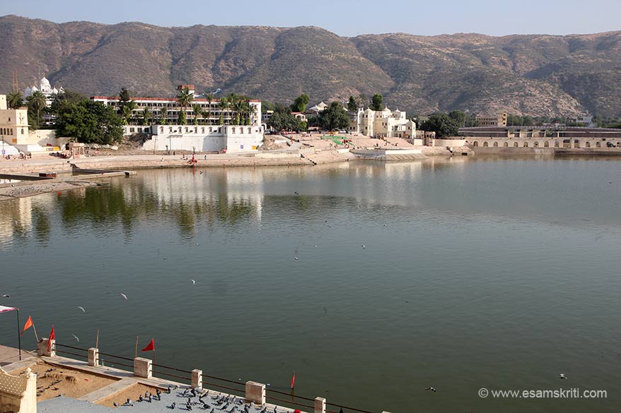 Pushkar Kartik Poornima