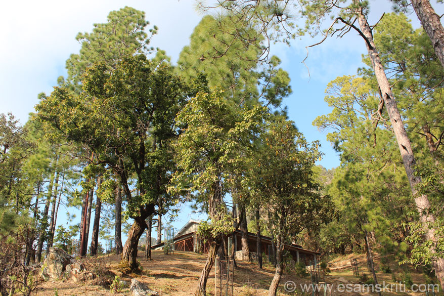 Mahavatar Babaji Cave