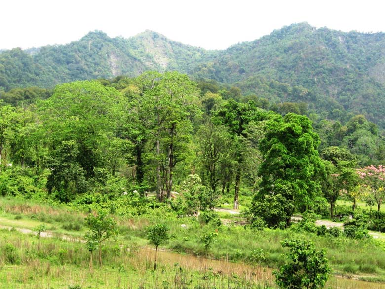 Kalimpong Cactus garden