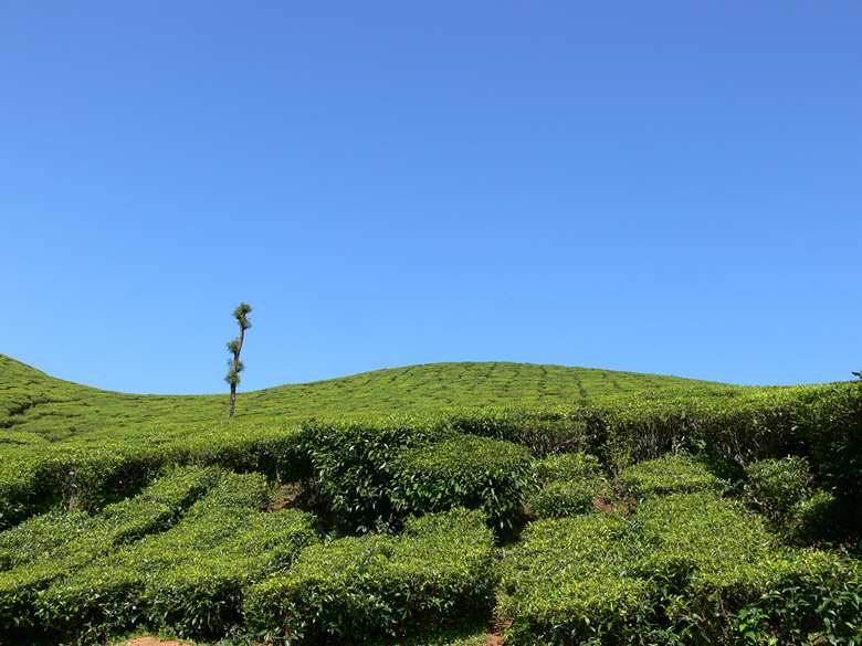 Munnar