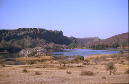 Ranthambore Wild Life Sanctuary, Rajasthan