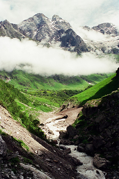 Valley of Flowers